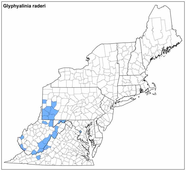 Glyphyalinia raderi Range Map